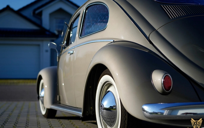 Volkswagen Garbus cena 179000 przebieg: 73845, rok produkcji 1956 z Ostrzeszów małe 742